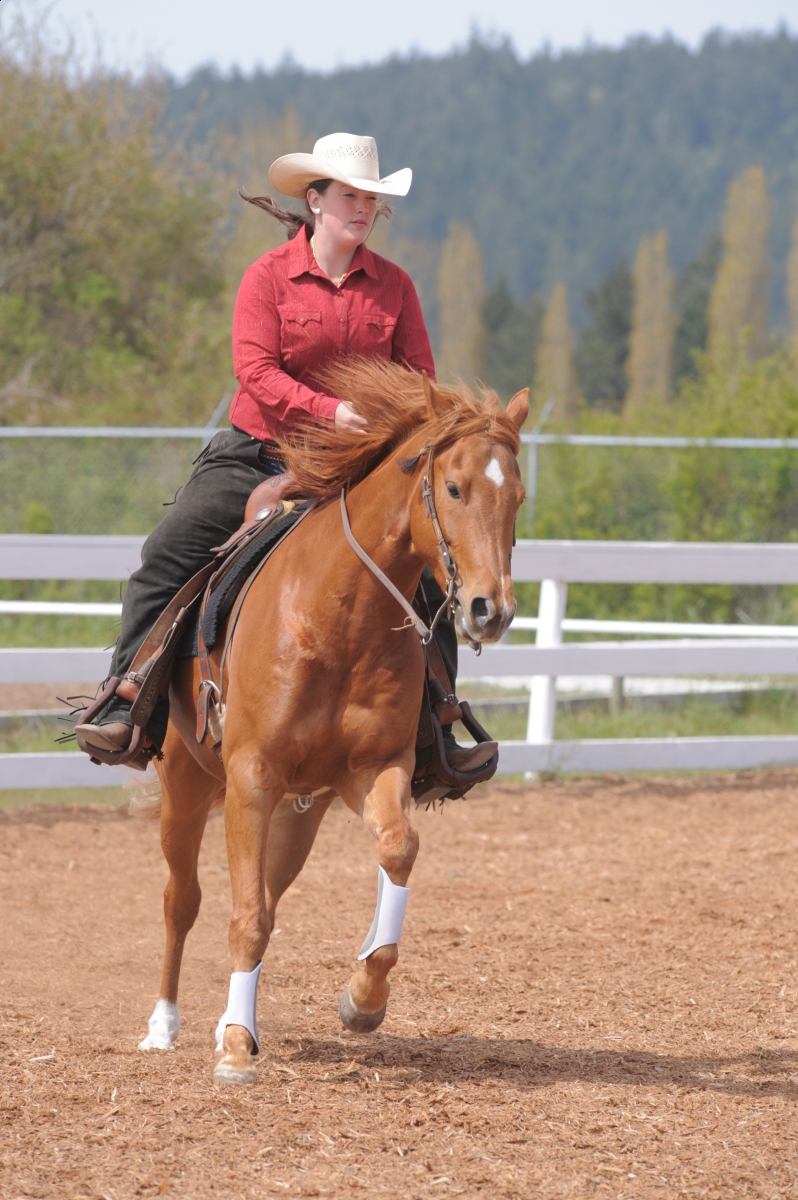 Teaching Your Horse to Neck Rein Horse Journals
